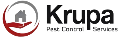 Pest Control at Affordable Prices